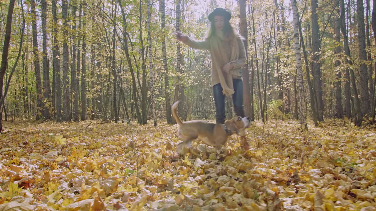 niña con perro dando vueltas en el bosque de otoño