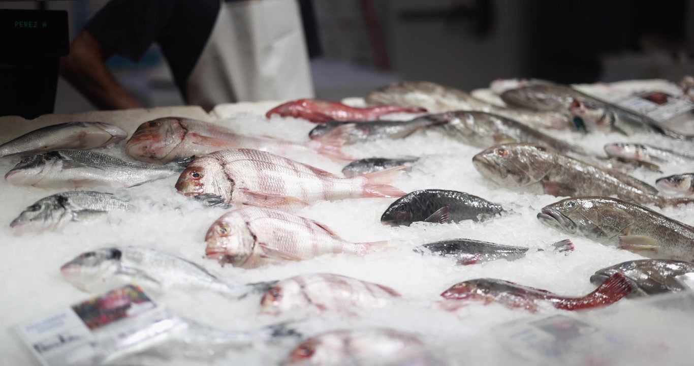 Variety of Fresh Fish Displayed on Ice at a Market