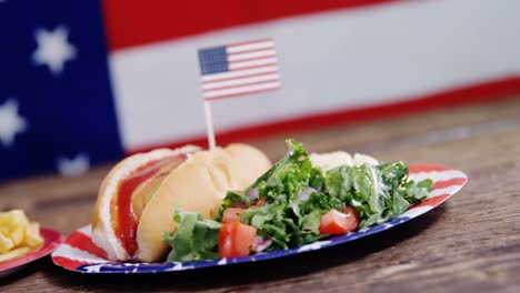 Hot-dog-french-fries-and-hamburger-served-on-plate-against-American-flag