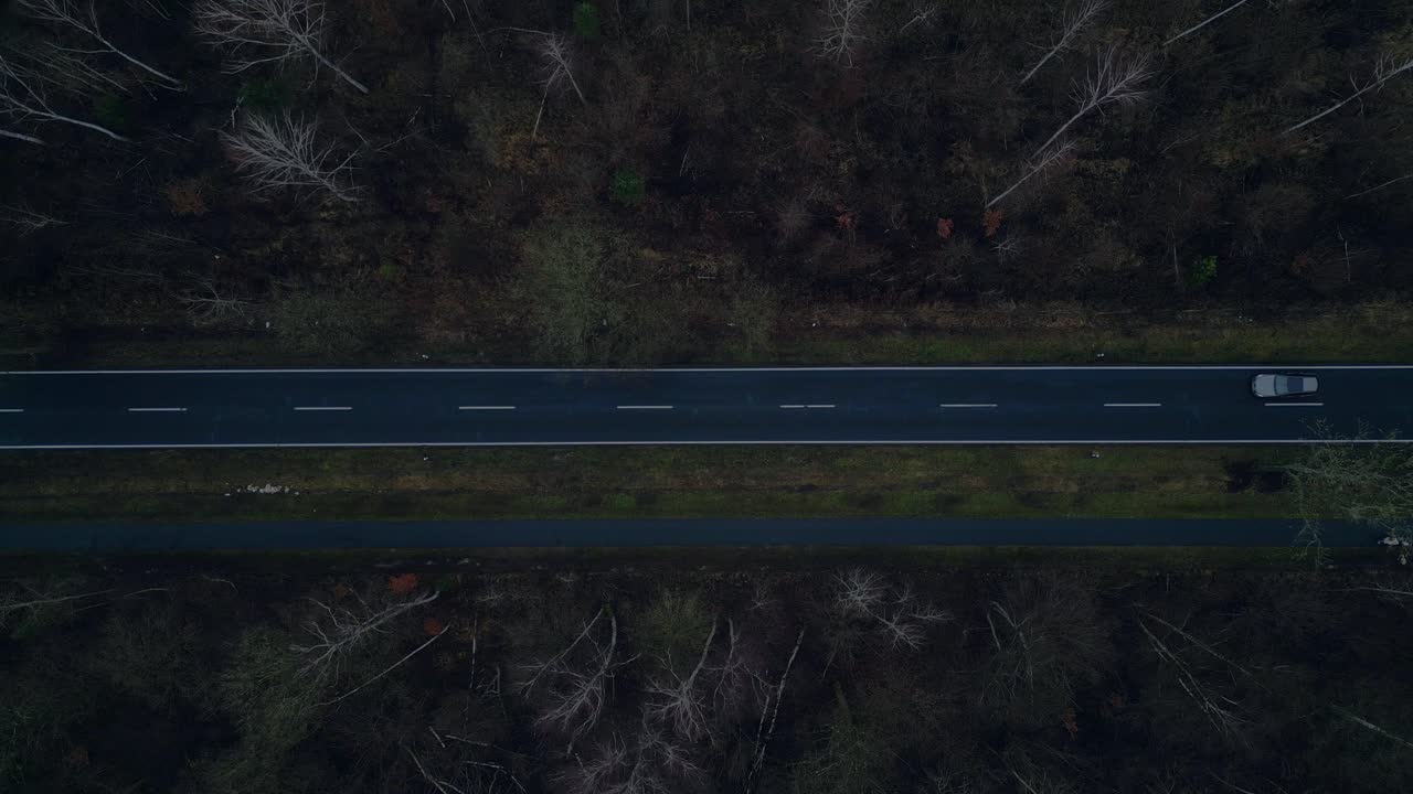 어두운 아스팔트 도로를 가로질러 운전하는 외로운 자동차의 공중 뷰, 신비로운 숲을 가로지르는, 극적인 공중 보 비행, 수직 조류의 눈으로 보는 드론.