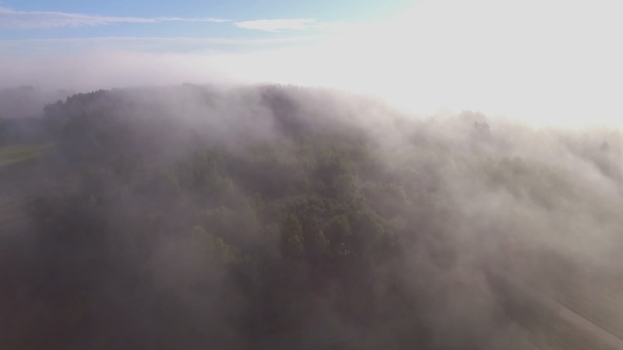 아침 안개로 둘러싸인 자갈길과 숲은 일출 조명-1