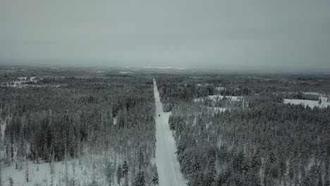 solo car drives along straight narrow snow covered pine forest road, aerial