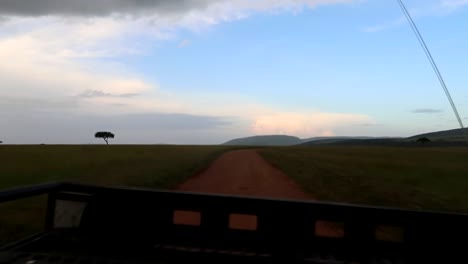 rear view of 4x4 car driving grassland scenery in maasai mara national park, day