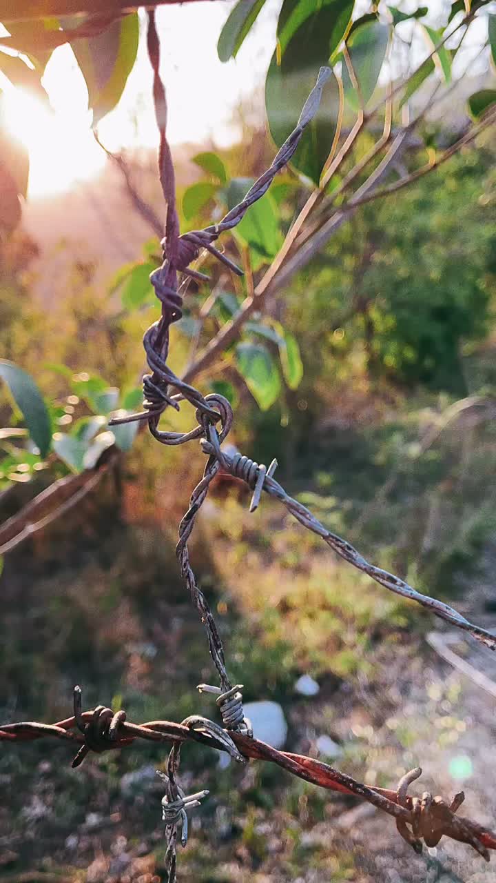 valla de alambre de púas oxidado en un entorno natural al atardecer