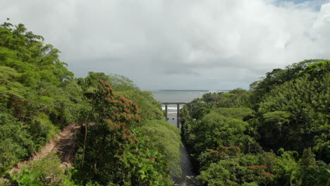 Forwards-fly-above-trees-around-creek,-revealing-road-bridge-and-sea