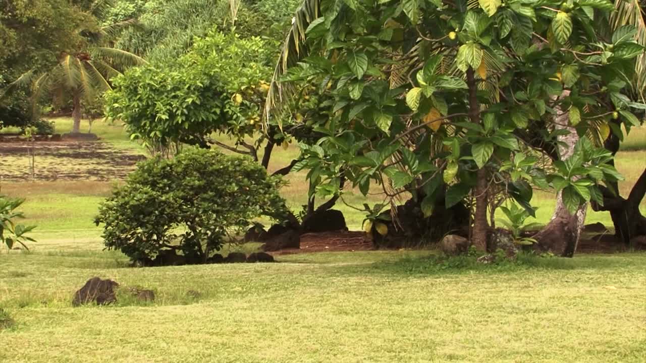 Taputapuatea marae, Raiatea, Kepulauan Society, Polinesia Prancis