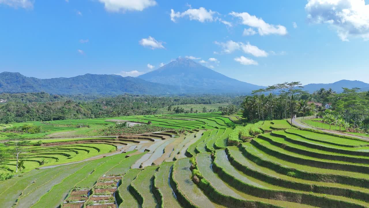 Aerial view of terraced rice field with mountain and blue cloudy sky. Beautiful scenery of Indonesia rural landscape. 4K drone shot.