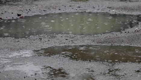 raindrops in a puddle close-up