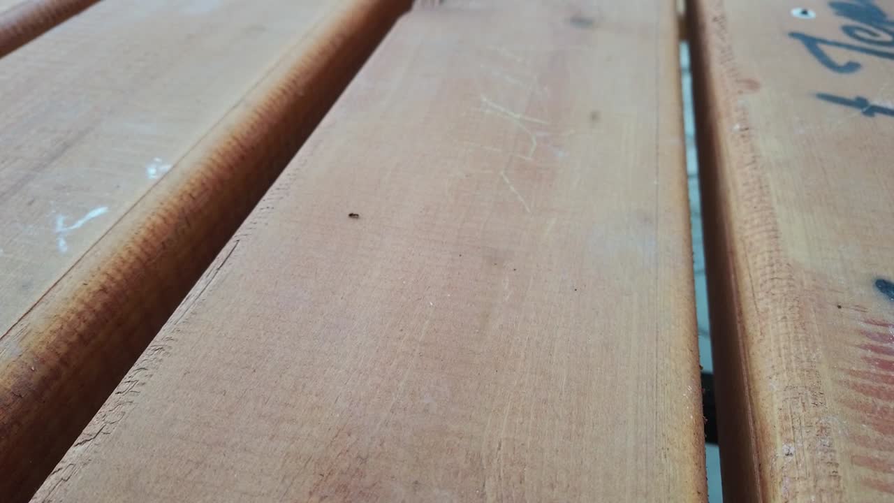 hormiga caminando sobre una mesa de picnic