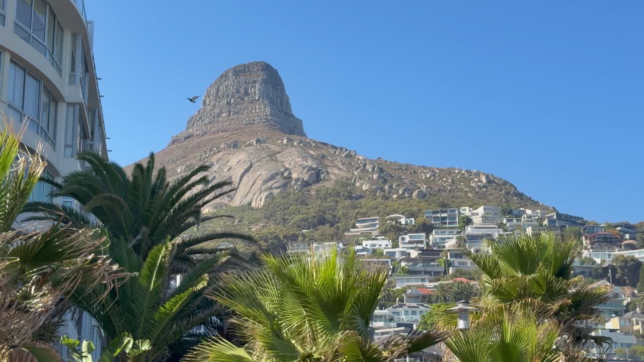 Montagna Lion's Head in una giornata di sole, Città del Capo
