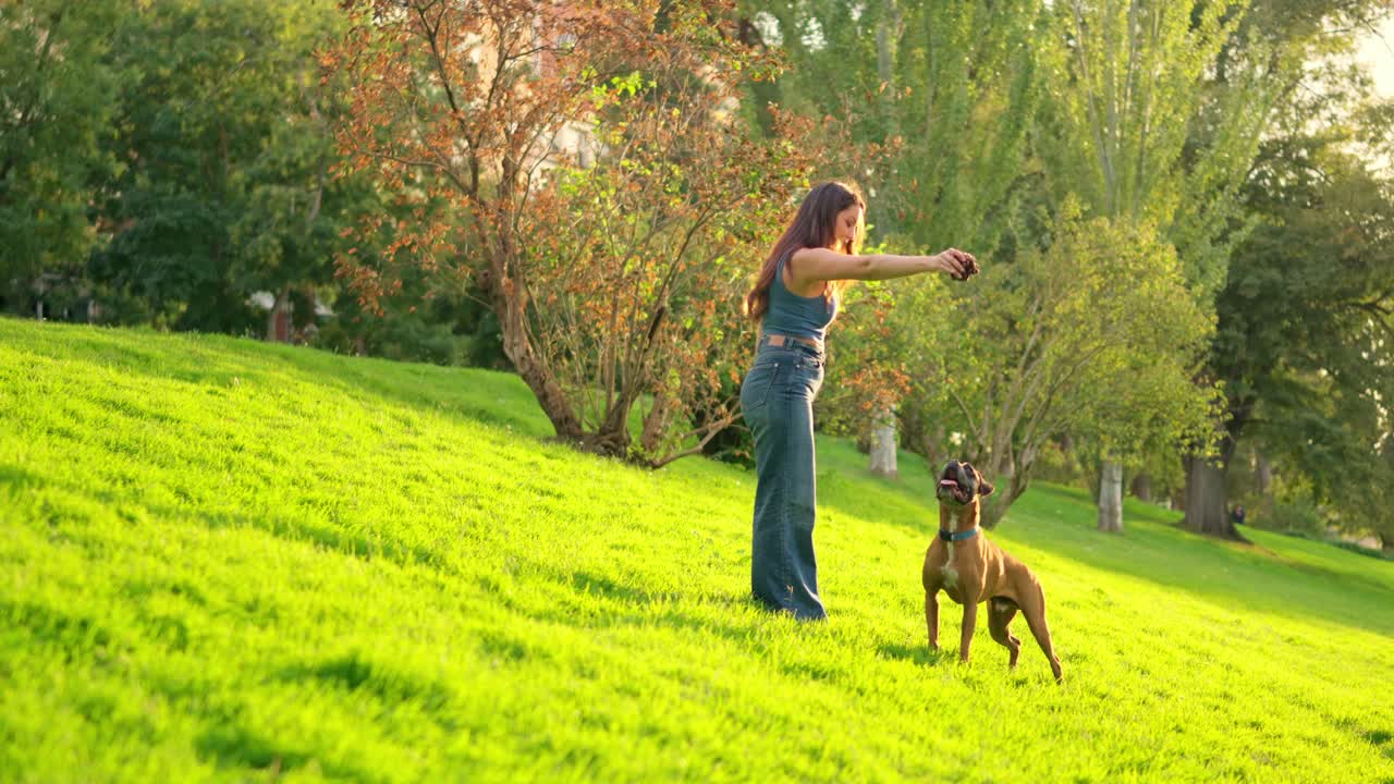 Donna che gioca con il suo cane boxer in un parco verde soleggiato