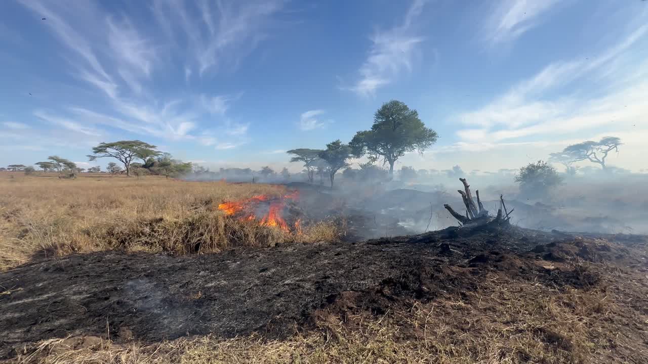 Serengeti Ulusal Parkı, Tanzanya'daki bir orman yangınının geniş açıdan görünümü
