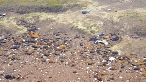 Rock,-pebbles,-and-gravel-under-clear-sea-water,-coast-of-Argentina,-close-up