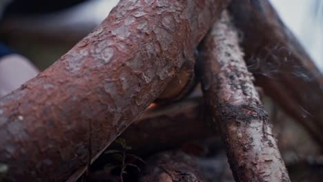 slow motion close-up of a person lighting up a campfire, smoke coming out from under the logs