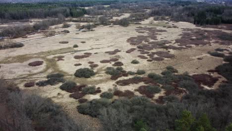 Schilf-Und-Hohes-Gras-In-Einem-Geschützten-Naturgebiet