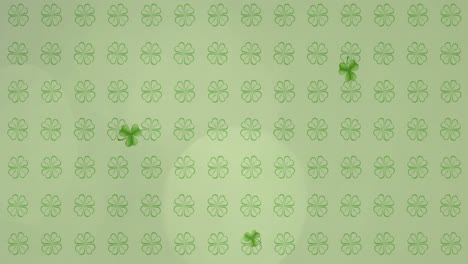 animation of  green shamrocks