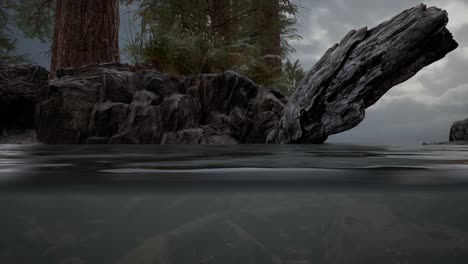 half underwater in northern sea with rocks