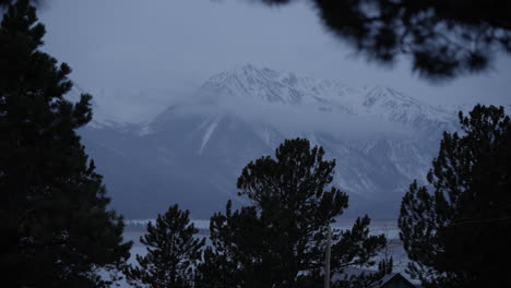 Snow-covered-mountain-viewed-through-trees-at-Twin-Lakes,-Colorado,-with-wind-blown-leaves-in-the-foreground