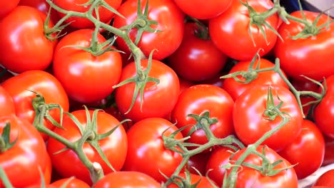 fresh red tomatoes on the vine