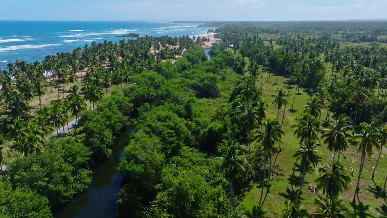 exuberante vegetación en la playa de arroyo salado, cabrera en república dominicana