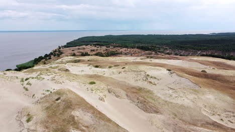 coastline of curoanian lagoon with sandy dunes and pine tree forest, aerial drone view