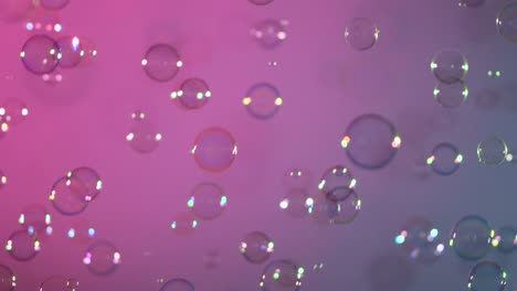 blue and clear soap bubbles on pink background a lot of blue and clear soap bubbles isolated on pink background