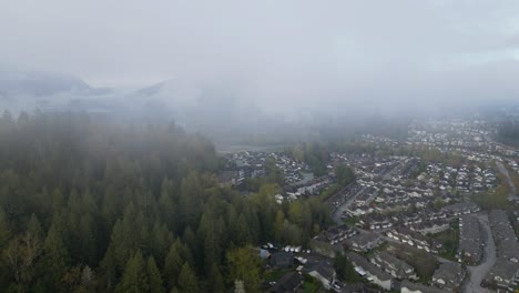 Aerial-view-of-homes-in-suburban-neighborhood,-surrounded-by-trees-and-mountains