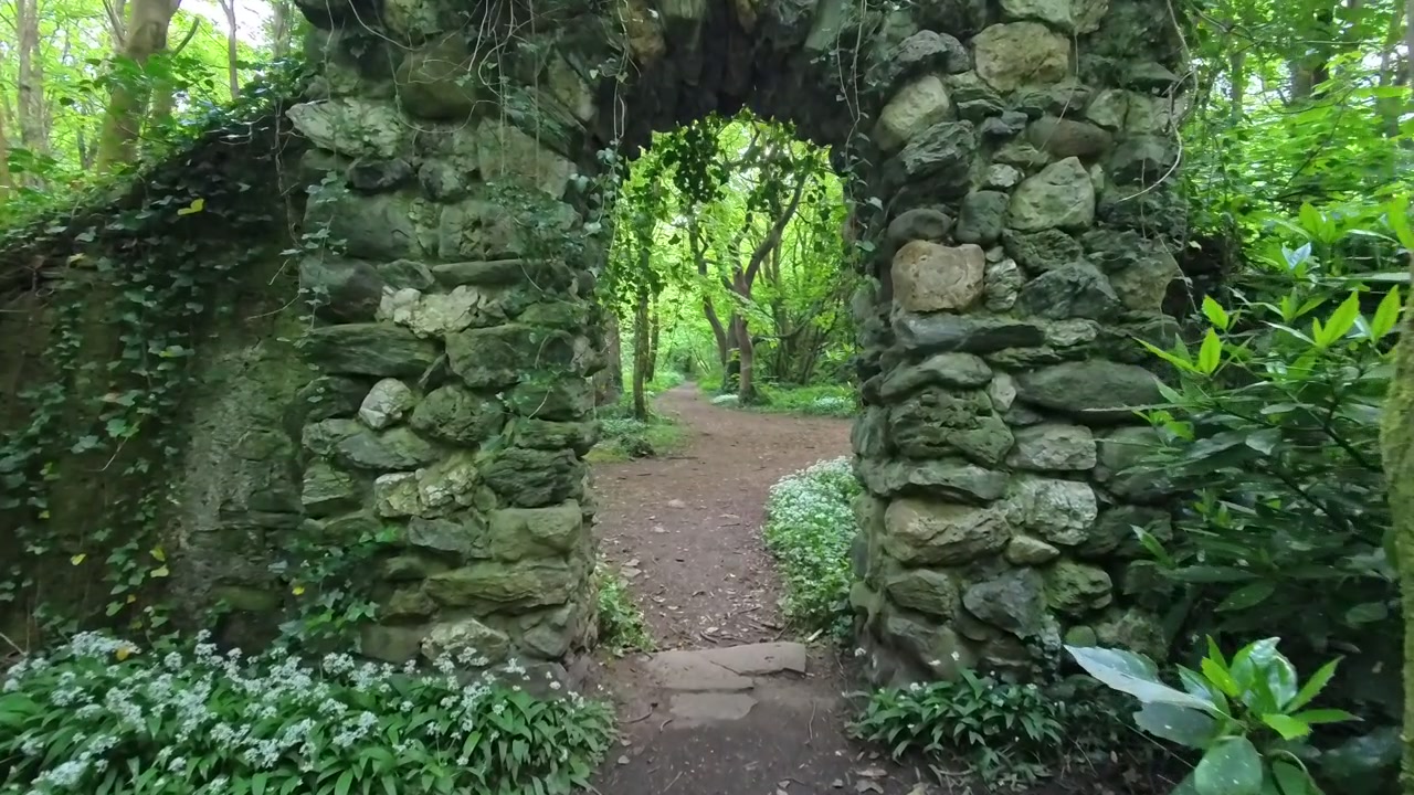 Incantevole sentiero boschivo di aglio selvatico che si avvicina all'ingresso di antiche rovine in pietra ad arco.