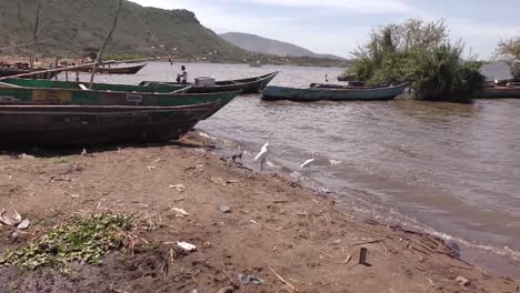 Botes-De-Remos-Cerca-De-Un-Cuerpo-De-Agua