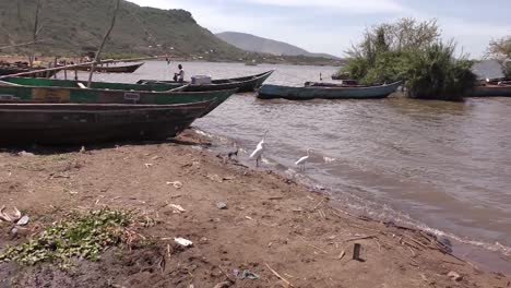 botes de remos cerca de un cuerpo de agua