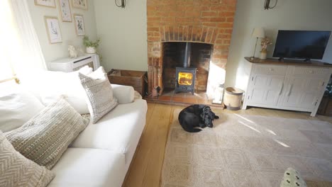 Black-dog-sleeping-in-smart-lounge