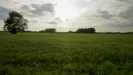 sunny countryside field under a cloudy sky with vibrant green grass