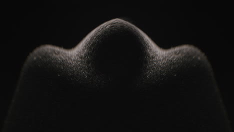 abstract symmetrical shape