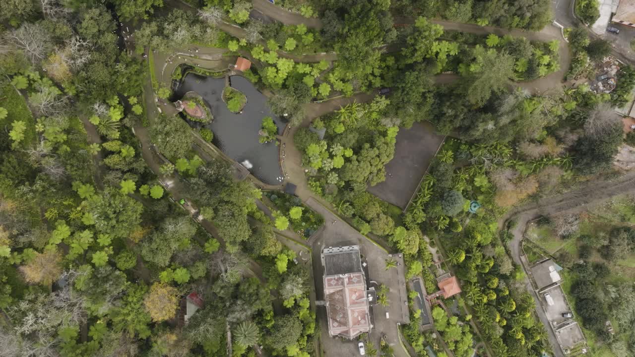 vista de pájaro de una ciudad con muchos árboles