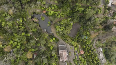 Bird-view-shot-of-a-city-with-a-lot-of-trees