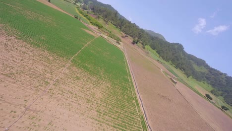 Ein-Kurzer-überblick-über-Plantagen-Und-Landwirtschaftliche-Flächen-In-Der-Dominikanischen-Republik