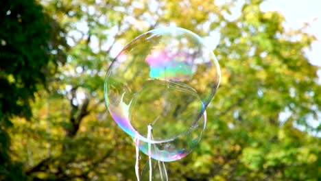 soap bubbles forming, floating and popping