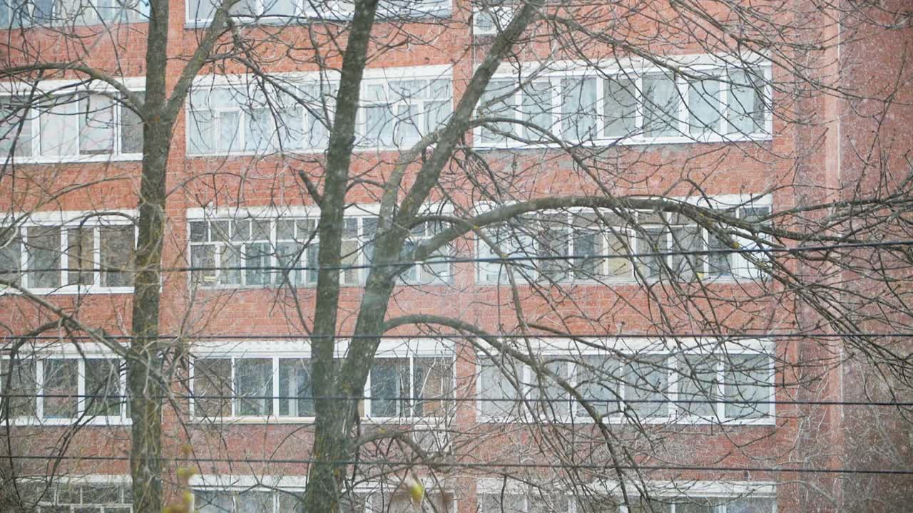 도시에서 눈이 내리는 날