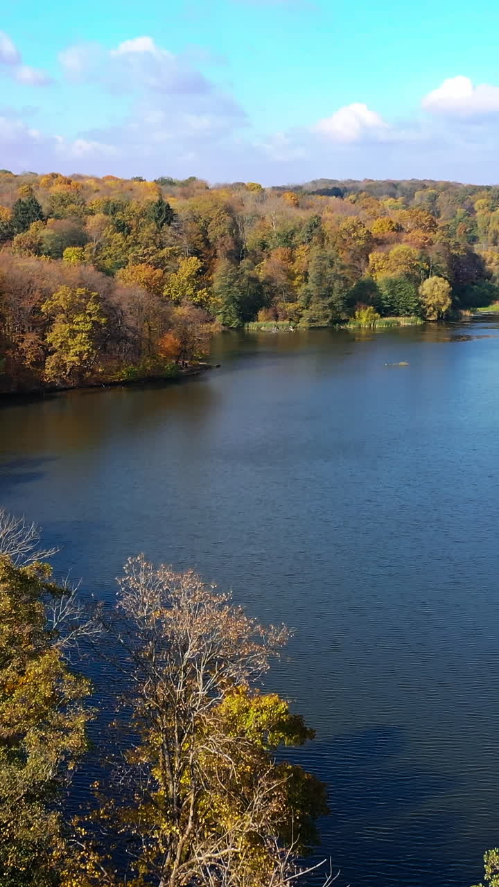Forest river autumn season aerial view. Fall landscape colorful sceneries. Vertical video