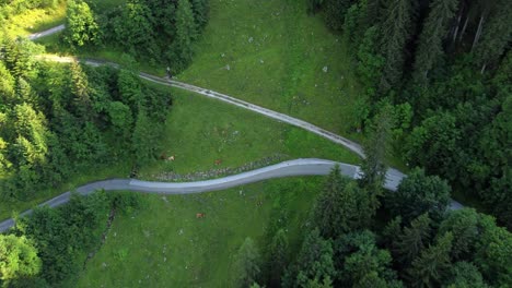 Car-driving-down-a-road-on-a-green-field