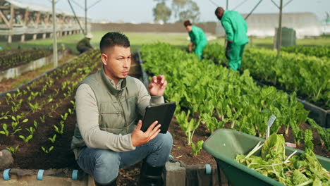 plantas para el hombre, tabletas y invernaderos