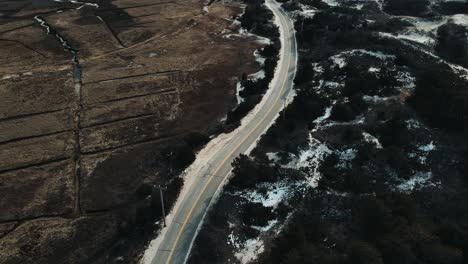 Coastal-road-winding-along-a-beach-on-Cape-Cod-Massachusetts