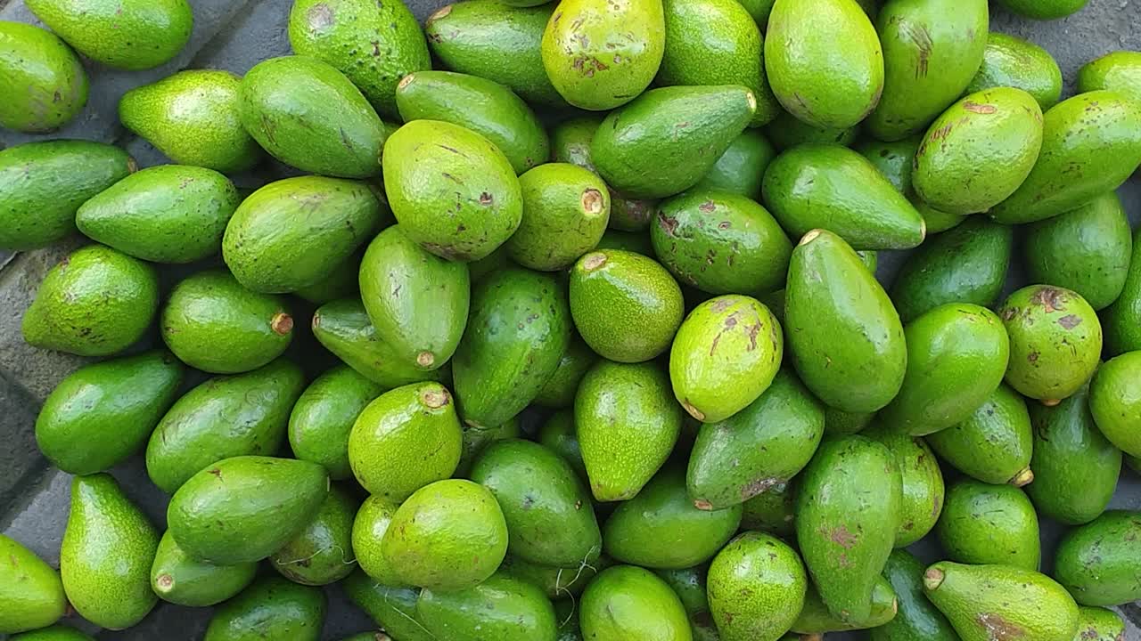 una enorme pila de aguacate verde recién cosechado en el mercado local de frutas y verduras en la isla tropical de timor-leste, en el sudeste asiático.