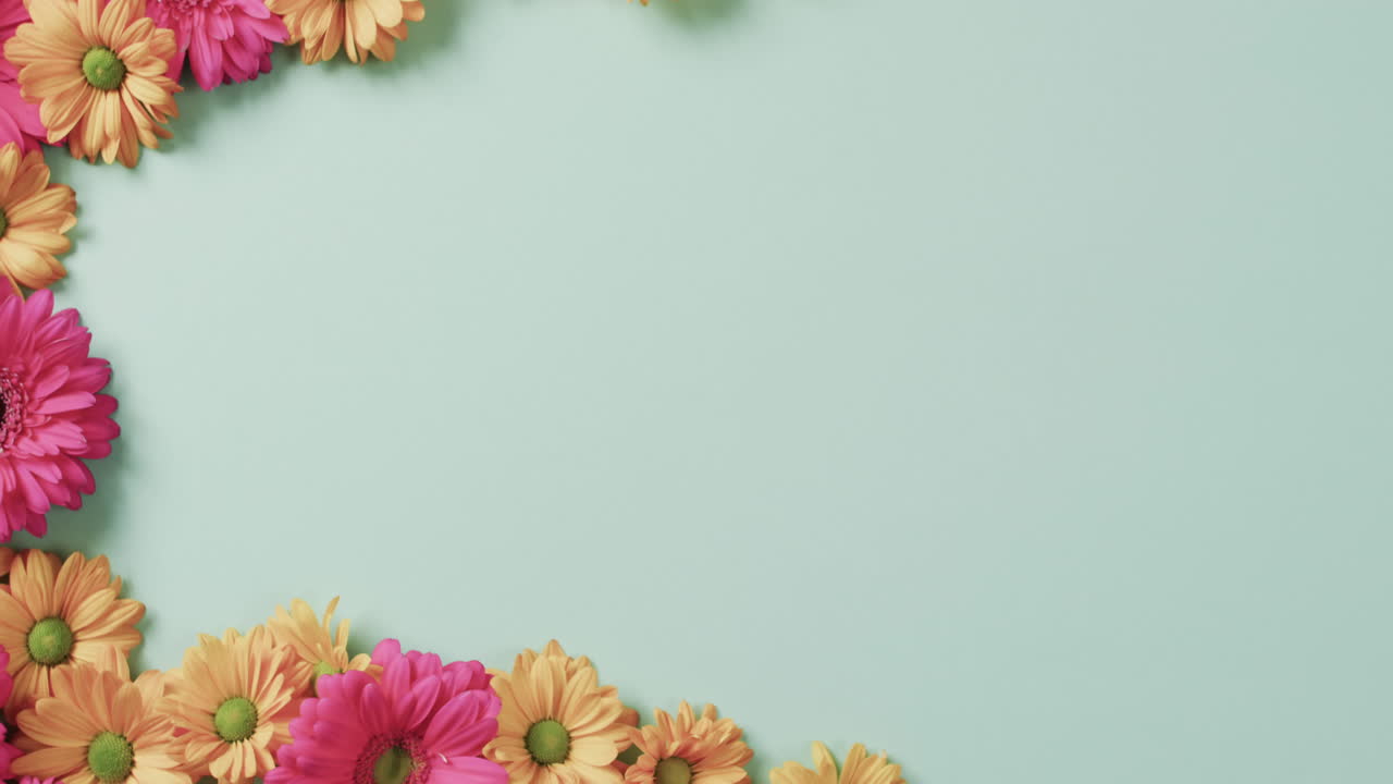 video de flores naranjas y rosas con espacio de copia en fondo verde