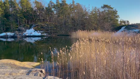 Ruhige-Szene-Im-Stockholmer-Archipel-Mit-Schneeflecken-Und-Schilf