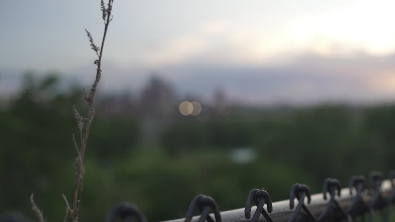 fence overlooking downtown skyline day