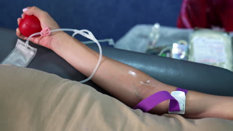 arm of a female with and attached tourniquet. donor is pressing the ball before donating blood. close up.