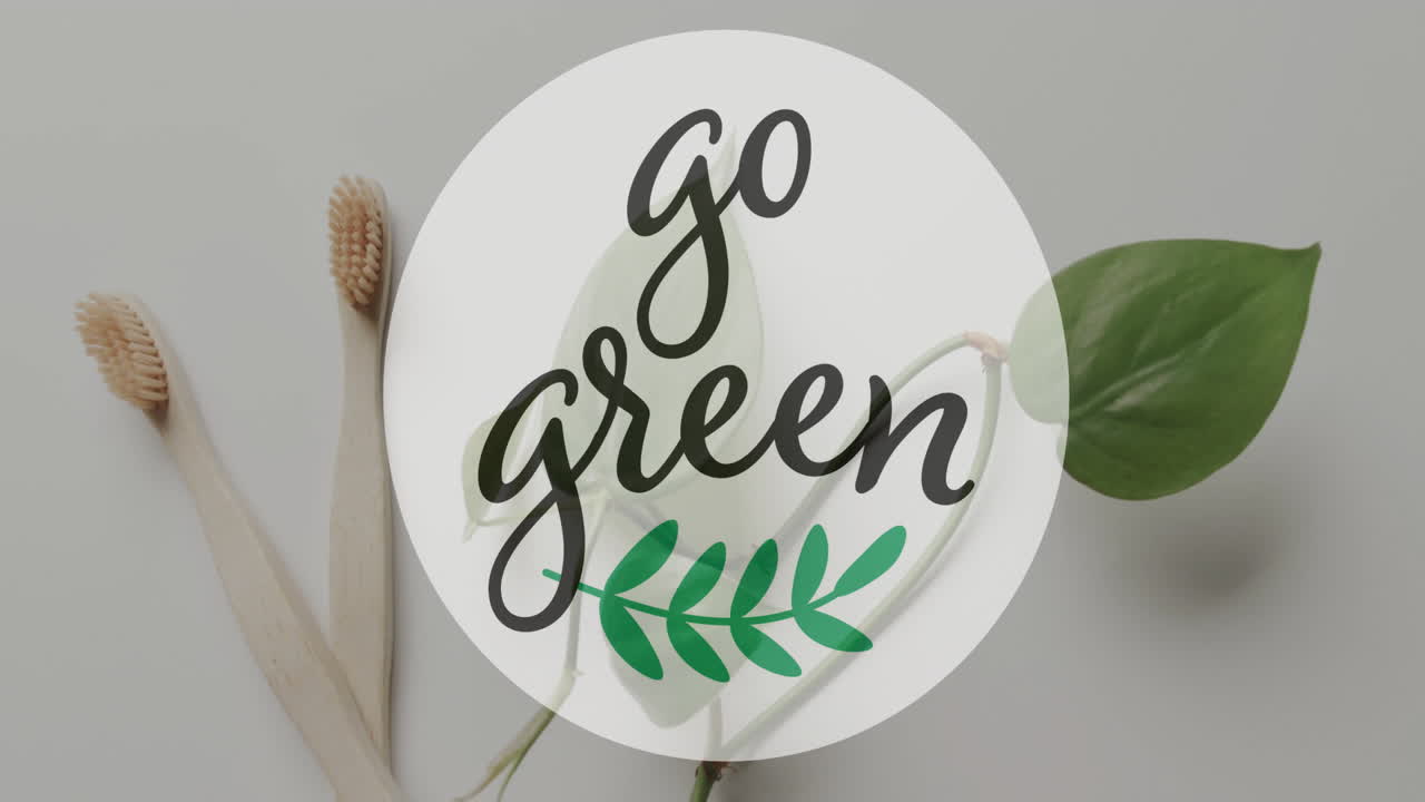 Animazione del testo 'go green' e logo a foglia su spazzolini da denti in legno e foglie su sfondo grigio