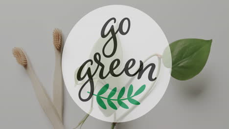 animation of go green text and leaf logo over wooden toothbrushes and leaves on grey