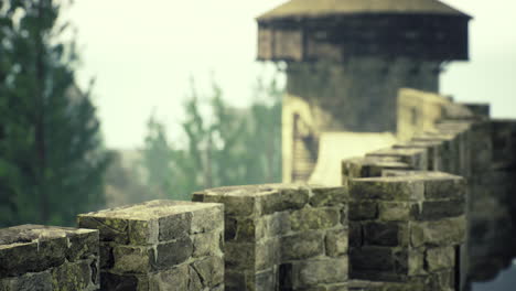 stone wall leading to ancient tower surrounded by trees at dawn